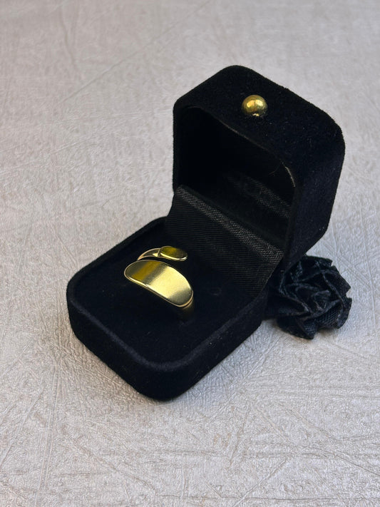 Adjustable Curve Ring